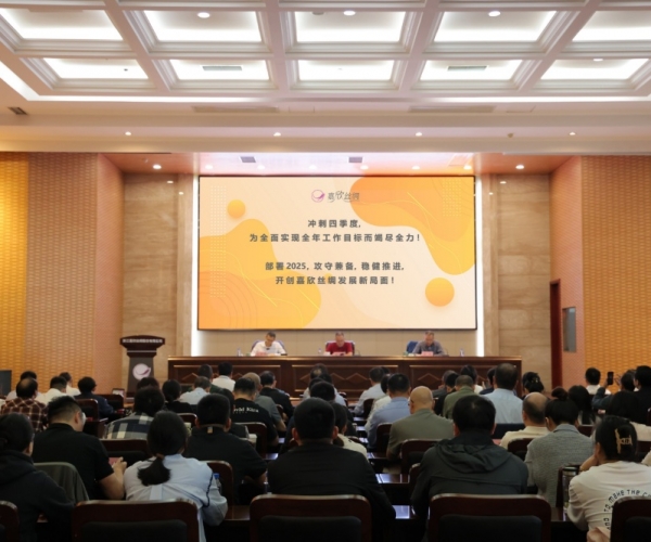 太阳城官网丝绸2024年三季度经济形势剖析会顺遂召开